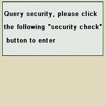 Security check